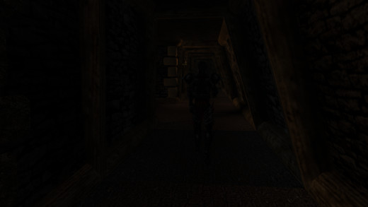 Stealth is probably the least flawed system in Morrowind, but it is by no means well done.