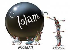 Dear Moderate Muslim; Don't Blame Extremists