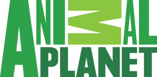 Animal Planet's current logo.