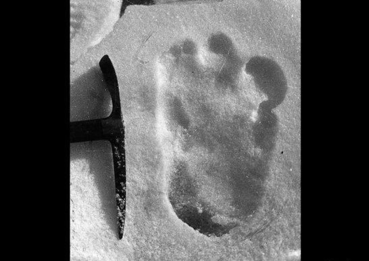 Yeti footprint discovered in 1951 on a Nepalese glacier at a a height of 19000 feet 
