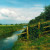 A Rhyne on the Somerset Levels A Rhyne on the Somerset Levels