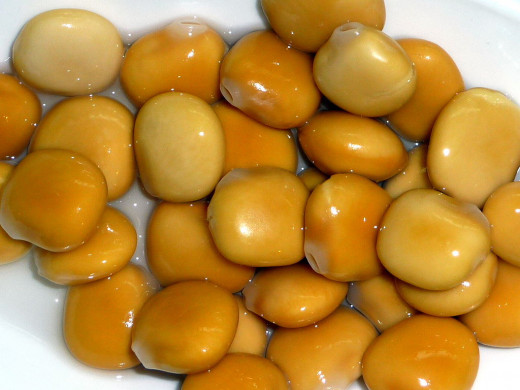 Lupins or Lupini Beans