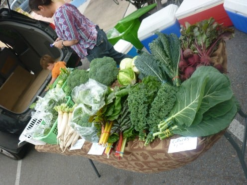 Vegetables from the Rio Grande Valley Harlingen,Texas