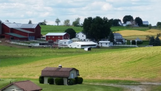 Rolling Farmland