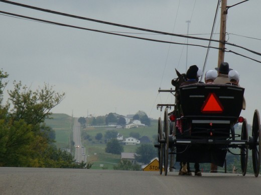 One of the Many Hills