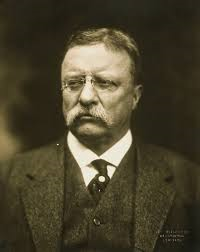 Theodore Roosevelt; 26th President of the United States, after the assassination of William McKinley. Term (1901-1909).