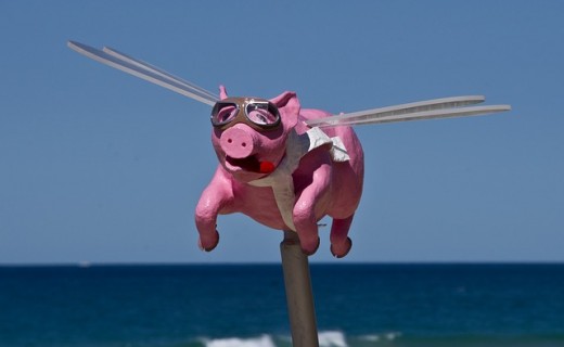 March 1st is Pig Day!