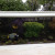 The Coral Farm includes: Emperor angelfish, Black tang, Staghorn coral, Flowerpot coral, Photosynthetic gorgonian The Coral Farm includes: Emperor angelfish, Black tang, Staghorn coral, Flowerpot coral, Photosynthetic gorgonian