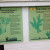 The Coral Farm's growing guide and information. The Coral Farm's growing guide and information.