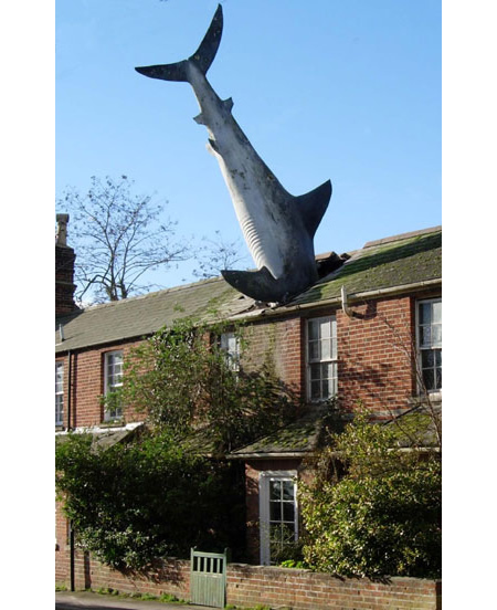 The Shark(New High Street, Headington,Oxford) became the most famous resident of Headington.The sculpture, which weighs 203 kilograms, is 25 feet long,is made of painted fibreglass;erected on the 41st anniversary of the dropping of the atomic bomb on