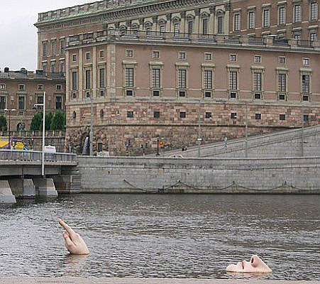 The swimmer(Stockholm,Sweden) .   