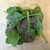 Add a little bit of chia Add a little bit of chia
