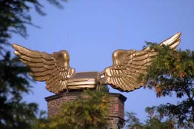 Fluegelaut(Cologne,Germany)    on top of the historic armoury "Zeughaus" 