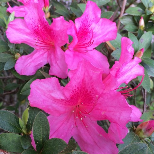 The Spring Equinox, Also Known as Ostara: Its Meaning and How to Celebrate The Spring Equinox, Also Known as Ostara: Its Meaning and How to Celebrate