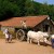 Puy du Fou