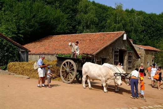 Puy du Fou