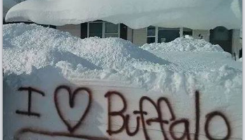 Yes, it really was that high of snow. Our city has a "Wall of Snow" calender dedicated to our "November Storm".
