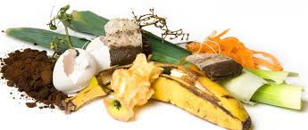 Getting rid of food waste is no problem with the right garbage disposal.