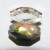 Orchestrated Opalescence Orchestrated Opalescence