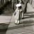 Early 50s Fashion for the Young! Early 50s Fashion for the Young!
