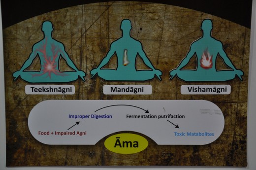 Ayurveda Theory