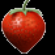 Shane Bingham profile image