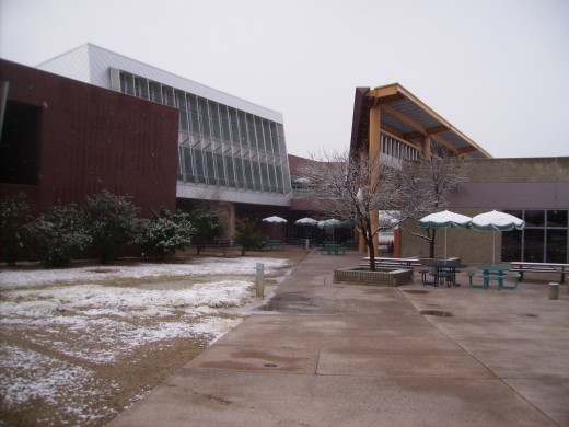 Our deserted, snowbound, campus in Tucson.