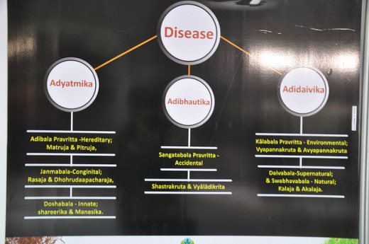 How the Ayurvedic Medicine works