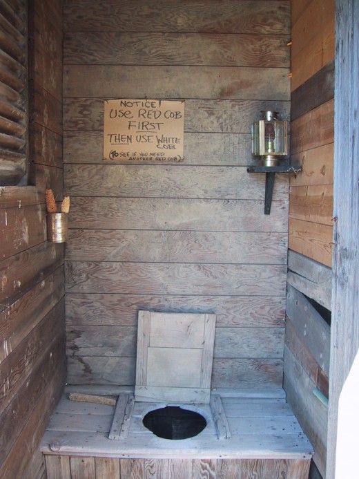 The outhouse with a choice (instructions included).