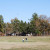 Flying a kite at Staunton River State Park Flying a kite at Staunton River State Park