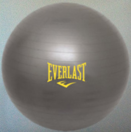 Everlast Yoga Ball