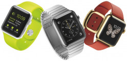The price of the Apple Watch is crazy