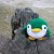 Plush penguin in Green