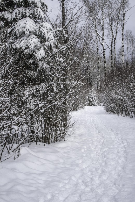 winter is an absence felt
