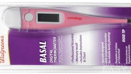 BBT Thermometer
