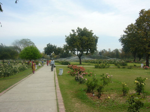 Rose Garden, Chandigarh