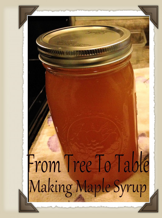 How to Produce Your Own Maple Syrup