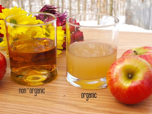 Braggs Apple Cider Vinegar Weight Loss Diet
