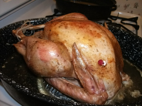 The Turkey.