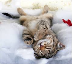 Zzzzzzz