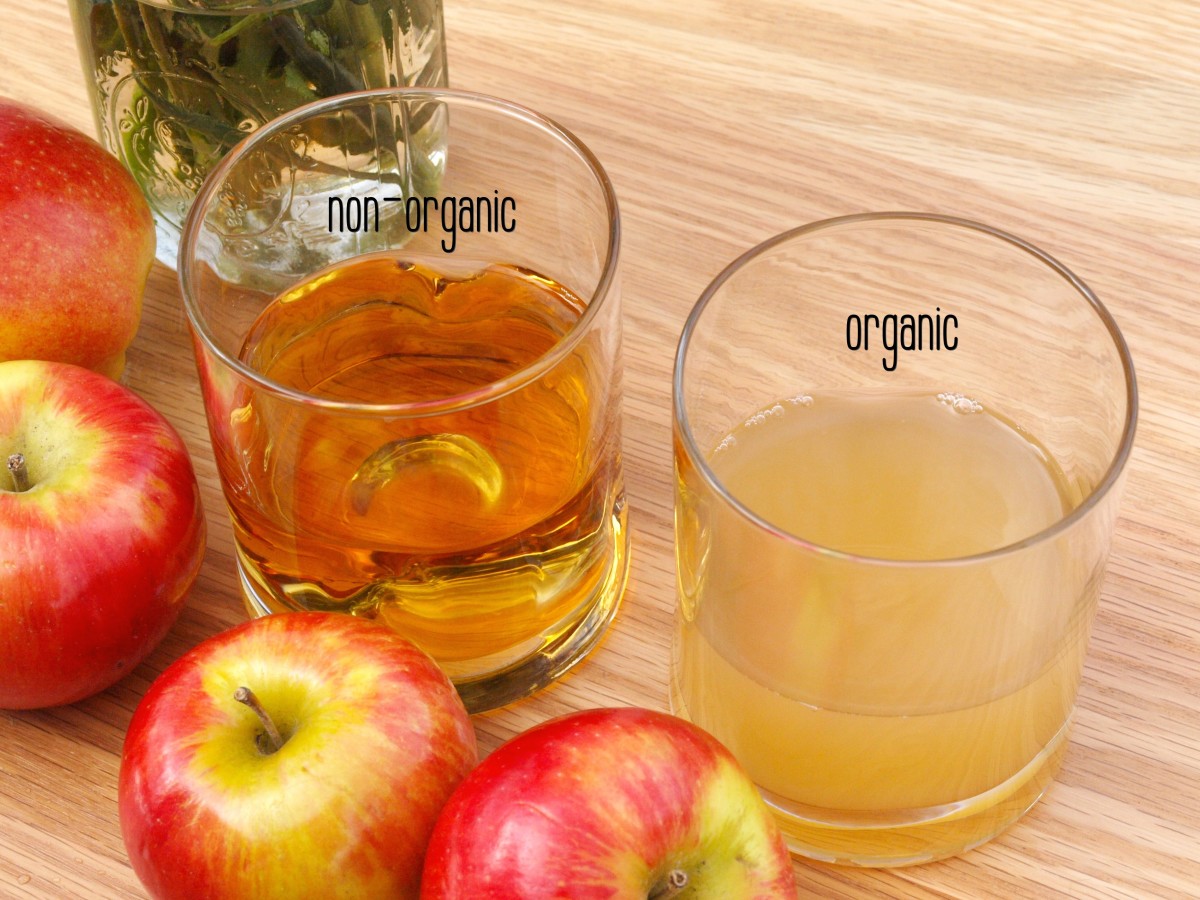 Apple Cider Vinegar Tea Weight Loss