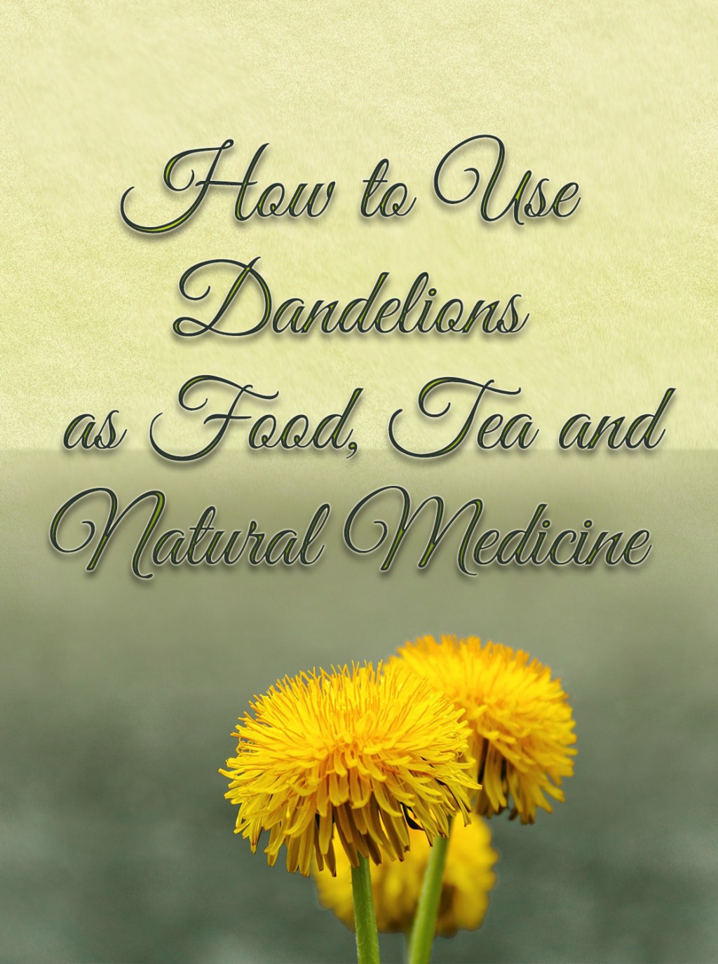 How to Use Dandelions as Food, Tea and Natural Medicine | Dengarden