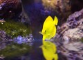 How To Set Up an Aquarium The Right Way