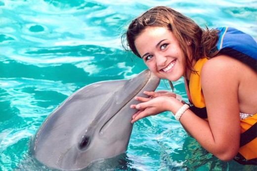 Swim with dolphins in the warm waters of the beautiful Caribbean Sea