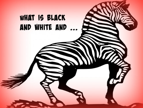 What is black and white and read (red) all over? An embarrassed zebra. 