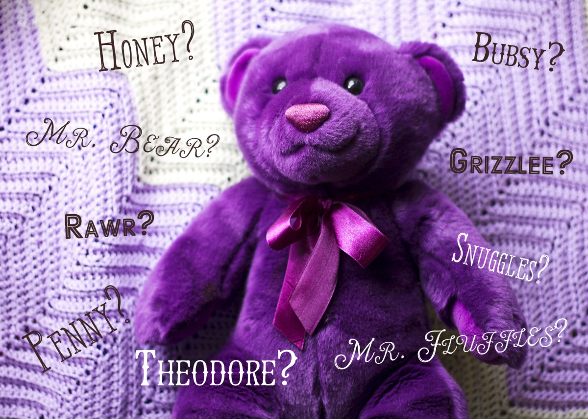 Cute And Funny Teddy Bear Names Wehavekids