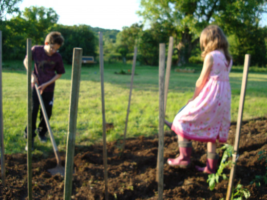 Children preparing the ground for planting tomatoes