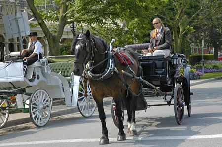 You will be surprised that the horse carriage can take in 4 adults and three children, two sitting on the laps. Our family did that on the beautiful bridal carriage.