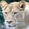 ladyleo1996 profile image