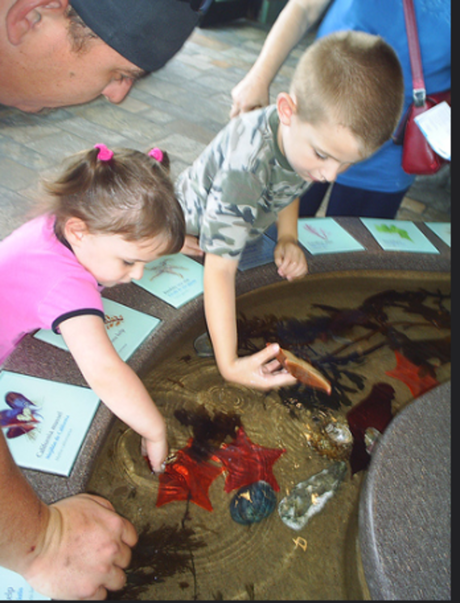 Little children need hands-on experiences and the Monterey Bay Aquarium gives it to them!
